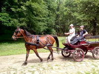 /album/galleria-fotografica/vlcsnap-2013-05-24-22h17m48s10-png/