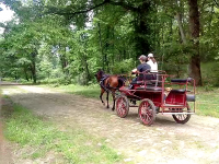 /album/galleria-fotografica/vlcsnap-2013-05-24-22h17m57s109-png/