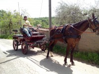 /album/prati-del-bologno/img-20130503-120909-jpg1/