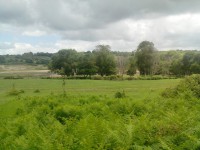 /album/galleria-fotografica/img-20130525-123101-perfectlyclear-0005-jpg/