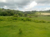 /album/galleria-fotografica/img-20130525-123121-perfectlyclear-0004-jpg/