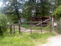 /album/galleria-fotografica/img-20130525-123443-perfectlyclear-0001-jpg/