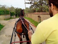 /album/prati-del-bologno/pano-20130503-181206400-perfectlyclear-0001-jpg1/