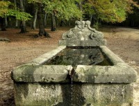 /album/galleria-fotografica/a43745926-jpg1/