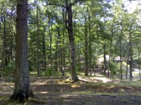 /album/galleria-fotografica/a26062009727-jpg1/