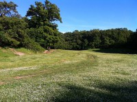 /album/galleria-fotografica/bosco01-jpg1/