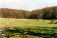 /album/galleria-fotografica/camillo-jpg1/