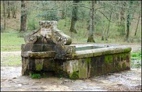 /album/galleria-fotografica/fontanile-macchia-grande-manziana-jpg1/