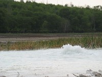 /album/galleria-fotografica/macchiagrandemanziana-caldara-jpg1/