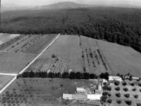 /album/galleria-fotografica/pag10-jpg1/