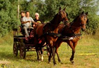 /album/galleria-fotografica/pariglia1-jpg1/