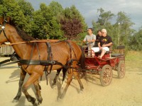 /album/galleria-fotografica/img-20130622-184935-perfectlyclear-0002-jpg/