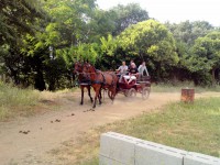 /album/galleria-fotografica/img-20130622-185036-perfectlyclear-0001-jpg/