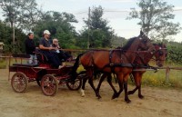 /album/galleria-fotografica/img-20130626-192517-perfectlyclear-0001-1-jpg/