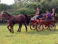 /album/galleria-fotografica/img-20130711-182911-perfectlyclear-0003-jpg/