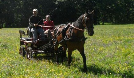 PRATO DELLE CANEPINE